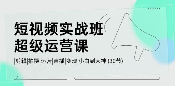 短视频实战班超级运营课 |剪辑|拍摄|运营|直播|变现 小白到大神 (30节)-网创资源