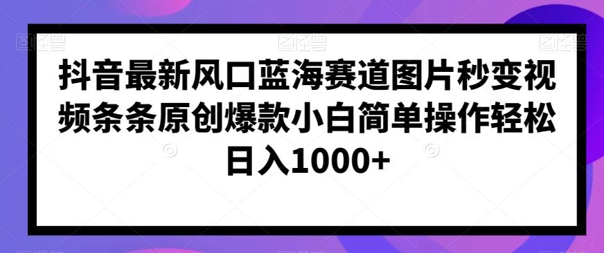 抖音最新风口蓝海赛道图片秒变视频条条原创爆款小白简单操作轻松日入1000+-网创资源