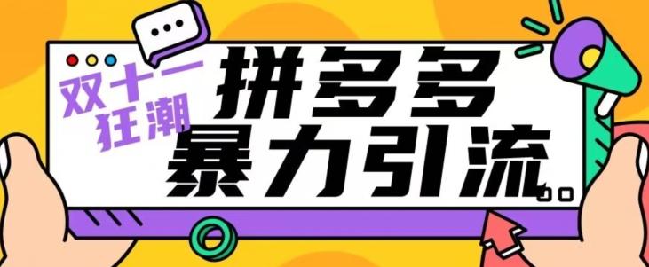【首发】双十一拼多多暴力引流，日引300+微信-网创资源