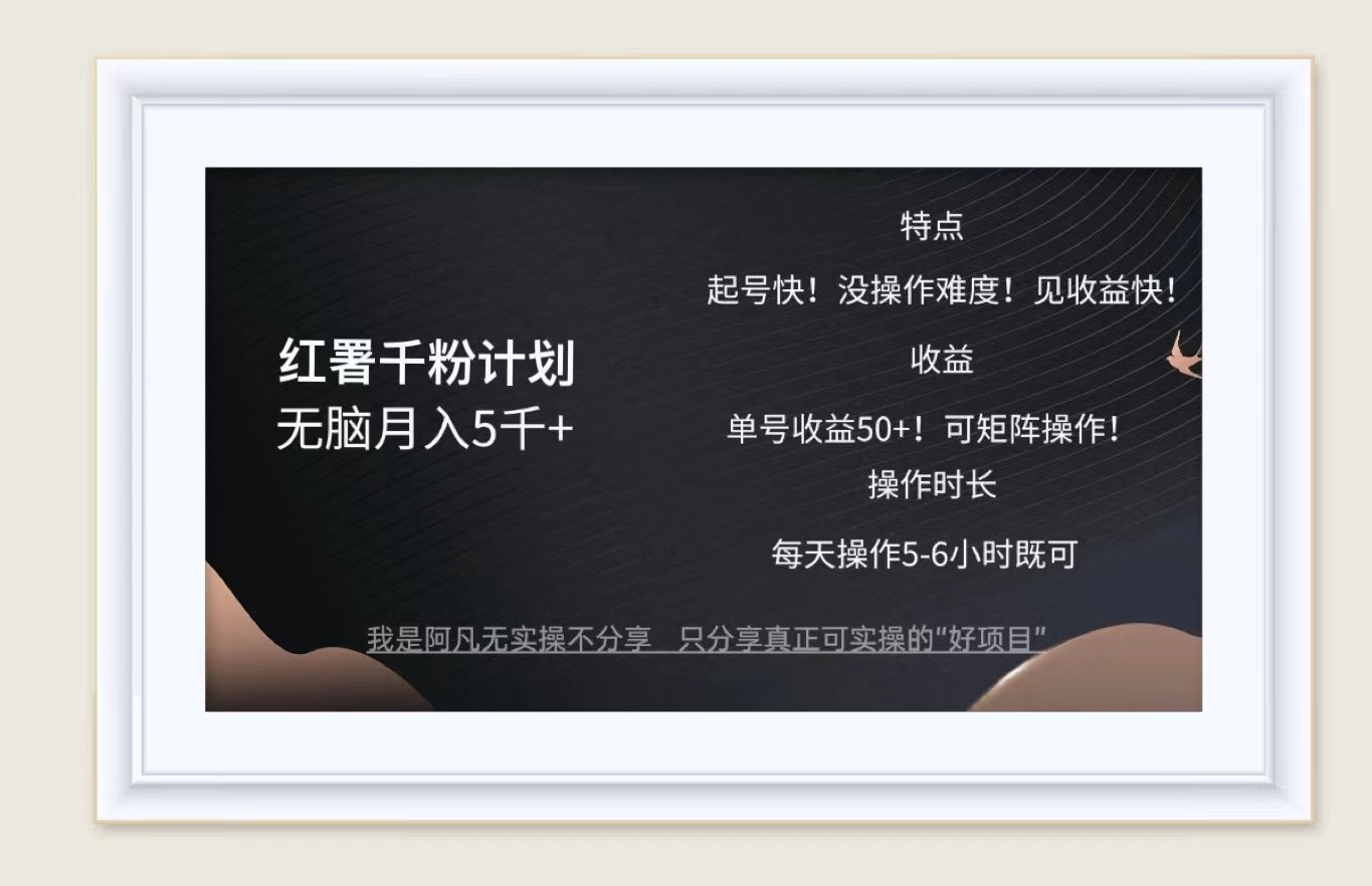 红薯千粉计划无脑月入5千+！既做既赚！-网创资源