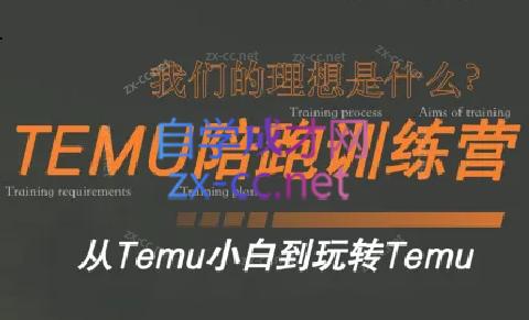 苗苗·拼多多跨境（temu）课程-网创资源