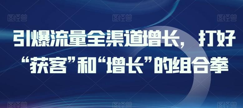 引爆流量全渠道增长，打好“获客”和“增长”的组合拳-网创资源