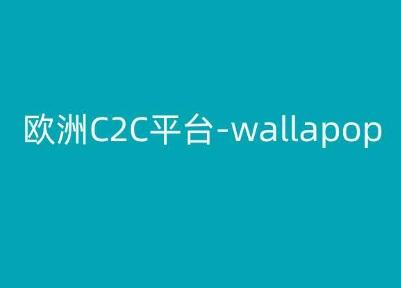 欧洲C2C平台-wallapop-kim跨境电商教程-网创资源
