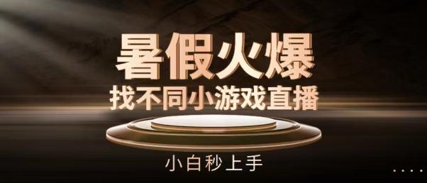 暑假火爆找不同小游戏直播间，小白秒上手【揭秘】-网创资源