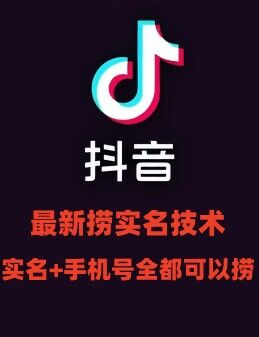 最新技术抖音捞实名+捞手机号技术，抖音直播封禁释放十名/手机号，直接替换出来!-网创资源