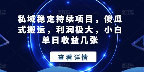 私域稳定持续项目，傻瓜式搬运，利润极大，小白单日收益几张【揭秘】-网创资源