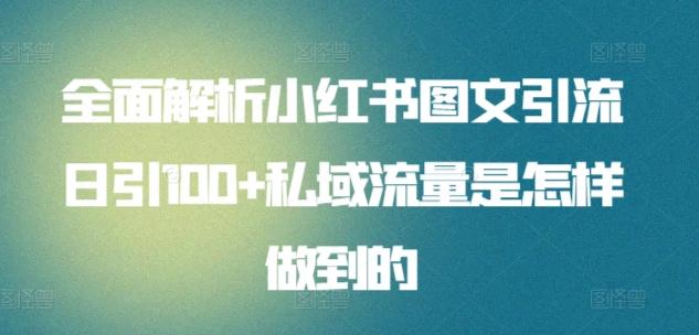全面解析小红书图文引流日引100+私域流量是怎样做到的【揭秘】-网创资源