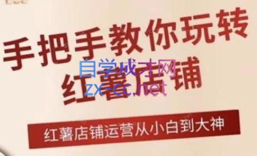 海燕老师·2024手把手教你玩转红薯店铺-网创资源