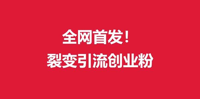 (全网首发)外面收费几千的裂变引流高质量创业粉-网创资源