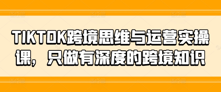 TIKTOK跨境思维与运营实操课，只做有深度的跨境知识-网创资源