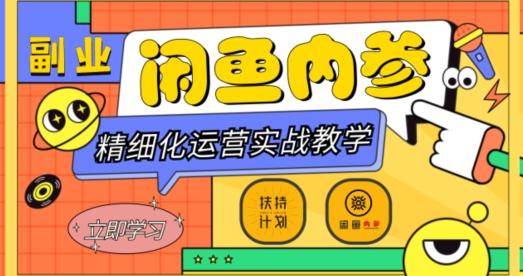 闲鱼精细化运营入门+高阶实战教学，从底层逻辑到轻松变现，多维度玩转闲鱼副业-网创资源