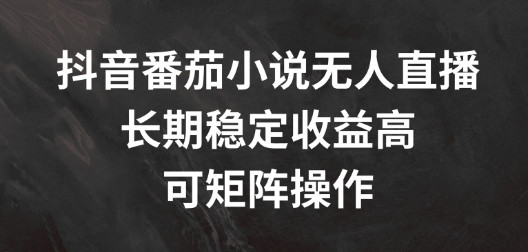 抖音番茄小说无人直播，长期稳定收益高，可矩阵操作【揭秘】-网创资源