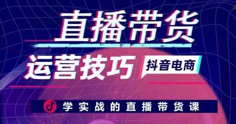 直播带货运营技巧，学实战的直播带货课-网创资源