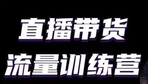 直播带货流量训练营，小白主播必学直播课-网创资源