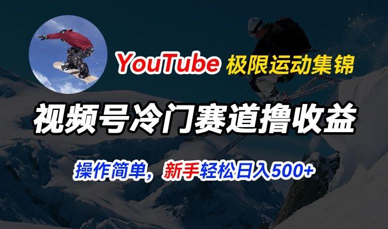 视频号冷门赛道撸收益，YouTube搬运极限运动集锦，暴力起号，操作简单流量高，轻松日入5张【揭秘】-网创资源