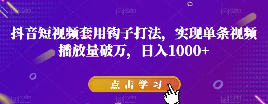 抖音短视频套用钩子打法，实现单条视频播放量破万，日入1000+【揭秘】-网创资源