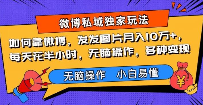 如何靠微博，发发图片月入10万+，‌每天花半小时，无脑操作，多种变现-网创资源