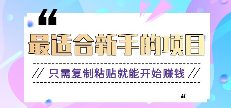 2024最适合新手操作的项目，新手小白只需复制粘贴就能开始赚钱【视频教程+软件】-网创资源