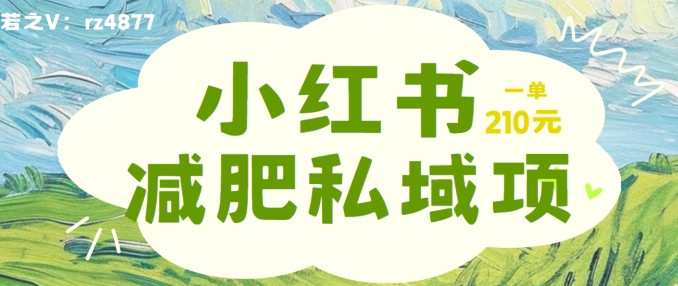 小红书减肥粉，私域变现项目，一单就达210元，小白也能轻松上手【揭秘】-网创资源