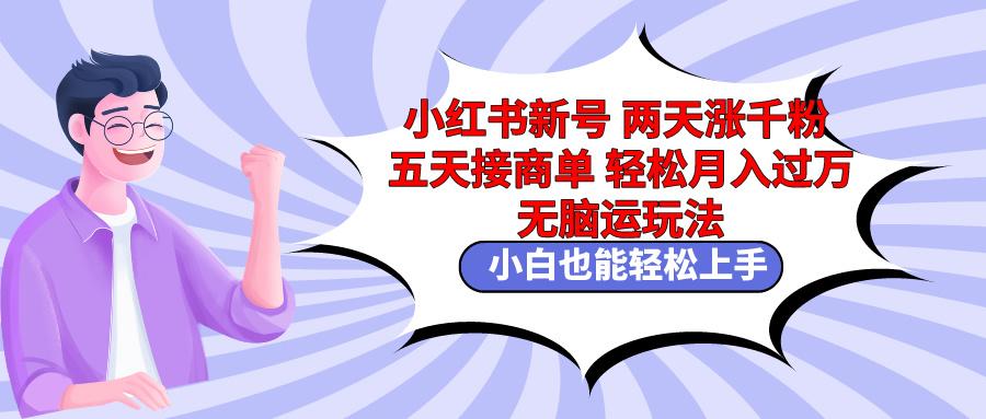 小红书新号两天涨千粉五天接商单轻松月入过万 无脑搬运玩法 小白也能轻…-网创资源