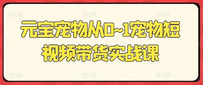元宝宠物从0~1宠物短视频带货实战课-网创资源