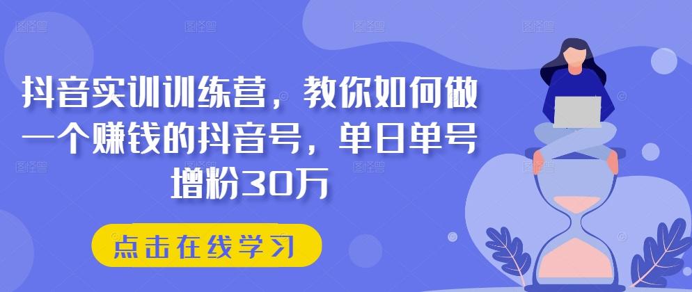 抖音实训训练营，教你如何做一个赚钱的抖音号，单日单号增粉30万-网创资源