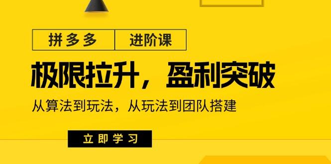 拼多多·进阶课：极限拉升/盈利突破：从算法到玩法 从玩法到团队搭建-18节-网创资源