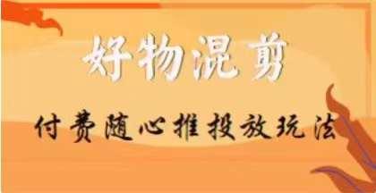 【万三】好物混剪付费随心推投放玩法，随心投放小课抖音教程-网创资源