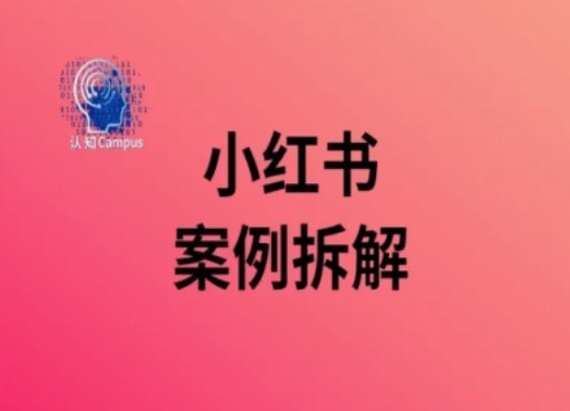 小红书案例拆解，深度解读小红书40万粉-网创资源