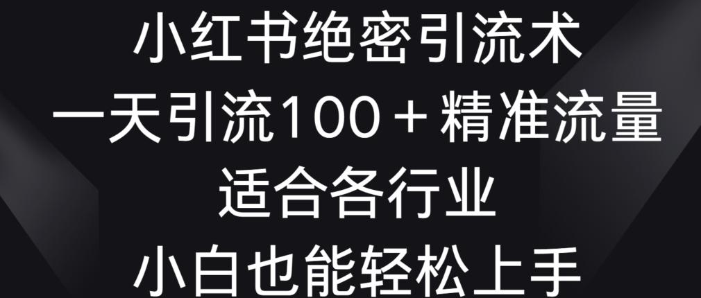 小红书绝密引流术，一天引流100+精准流量，适合各个行业，小白也能轻松上手【揭秘】-网创资源