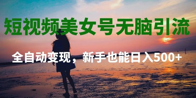短视频美女号无脑引流，全自动变现，新手也能日入500+-网创资源
