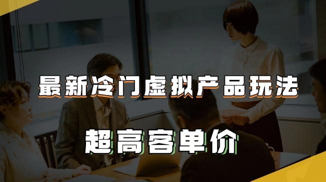 最新冷门虚拟产品玩法，超高客单价，月入2-3万＋【揭秘】-网创资源