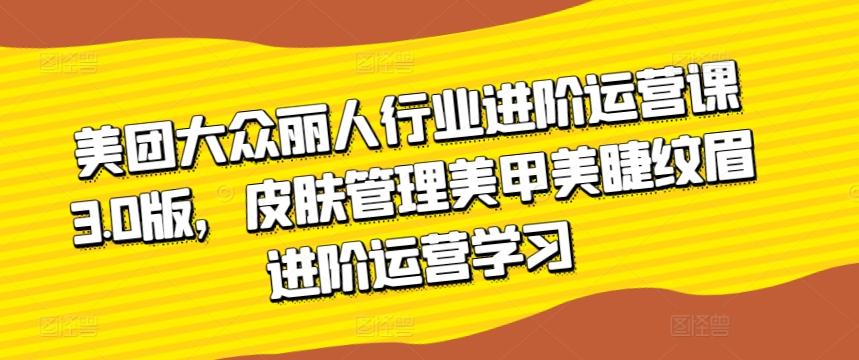 美团大众丽人行业进阶运营课3.0版，皮肤管理美甲美睫纹眉进阶运营学习-网创资源