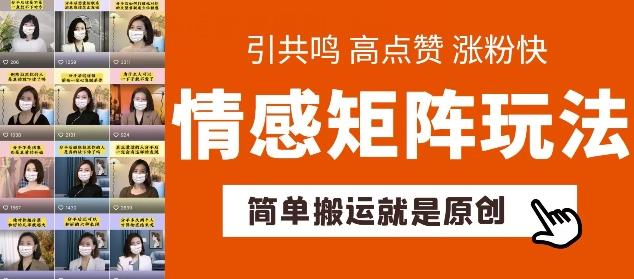简单搬运，情感矩阵玩法，涨粉速度快，可带货，可起号【揭秘】-网创资源