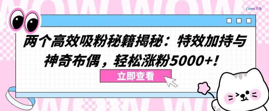 两个高效吸粉秘籍揭秘：特效加持与神奇布偶，轻松涨粉5000+【揭秘】-网创资源