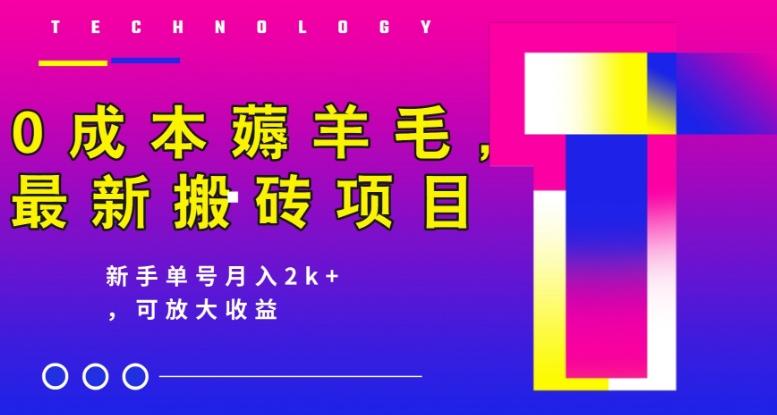 0成本薅羊毛，最新搬砖项目，新手单号月入2k+，可放大操作-网创资源