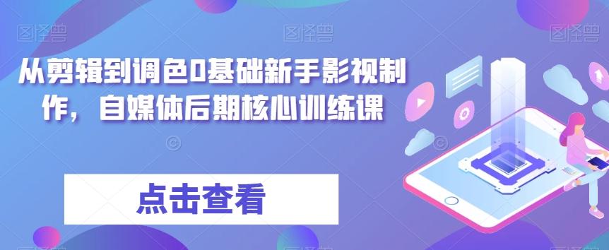 从剪辑到调色0基础新手影视制作，自媒体后期核心训练课-网创资源
