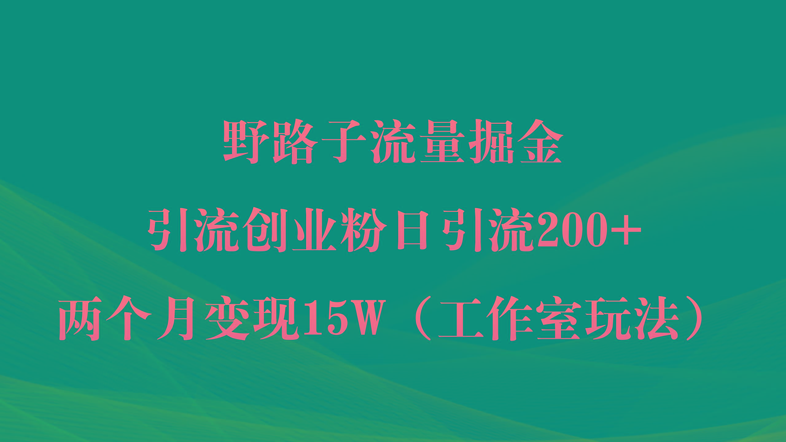 (9513期)野路子流量掘金，引流创业粉日引流200+，两个月变现15W(工作室玩法))-网创资源