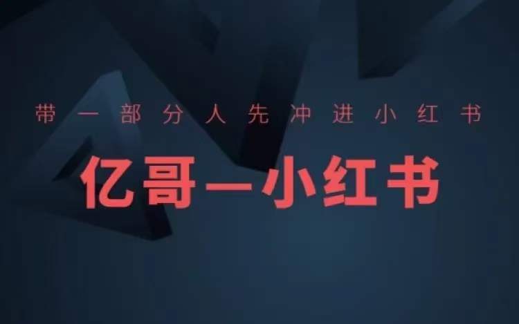​​带一部分人先冲进小红书，小红书开店、选品、爆款裂变-网创资源