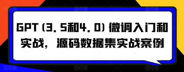 GPT(3.5和4.0)微调入门和实战，源码数据集实战案例-网创资源