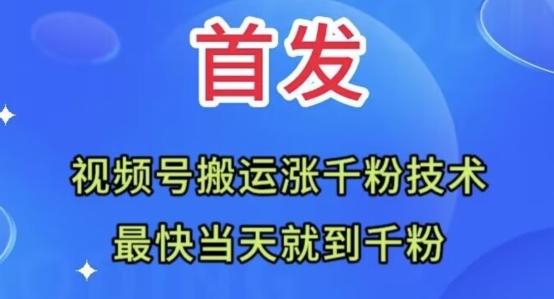全网首发：视频号无脑搬运涨千粉技术，最快当天到千粉【揭秘】-网创资源
