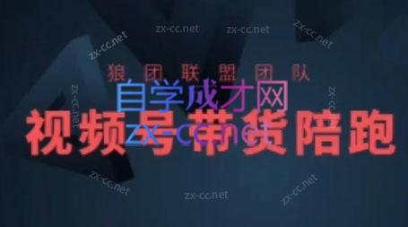 狼团联盟·2024视频号带货-网创资源