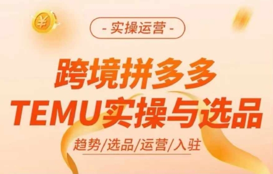 跨境拼多多TEMU实操与选品，多多temu跨境选品运营实操-网创资源