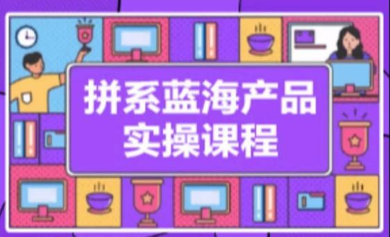 拼系冷门蓝海产品实操课程，从注册店铺到选品上架到流量维护环环相扣-网创资源