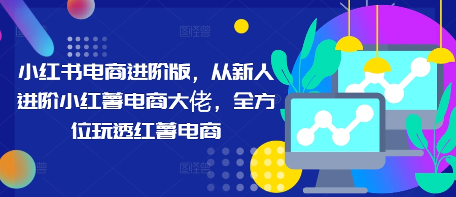 小红书电商进阶版，从新人进阶小红薯电商大佬，全方位玩透红薯电商-网创资源