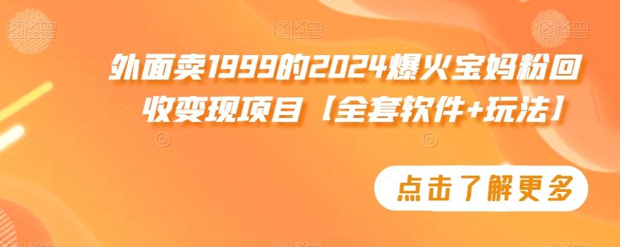 外面卖1999的2024爆火宝妈粉回收变现项目【全套软件+玩法】【揭秘】-网创资源