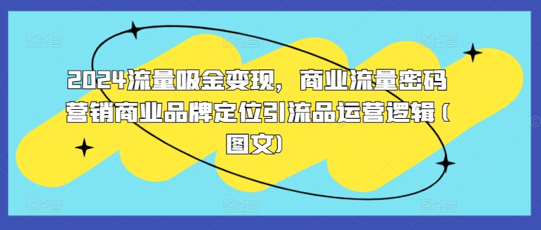2024流量吸金变现，商业流量密码营销商业品牌定位引流品运营逻辑(图文)-网创资源