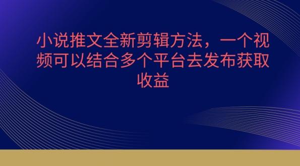 小说推文全新剪辑方法，一个视频可以结合多个平台去发布获取【揭秘】-网创资源