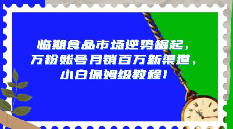 临期食品市场逆势崛起，万粉账号月销百万新渠道，小白保姆级教程【揭秘】-网创资源