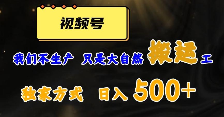 视频号轻松搬运日赚500+，一个1分钟1条原创视频【揭秘】-网创资源